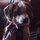 Buster Boyce