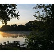 Corinne Genco's photo