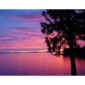 Sara Blum's photo