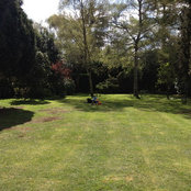 monkertoncourt's photo