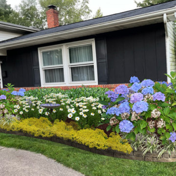 Foundation Plantings