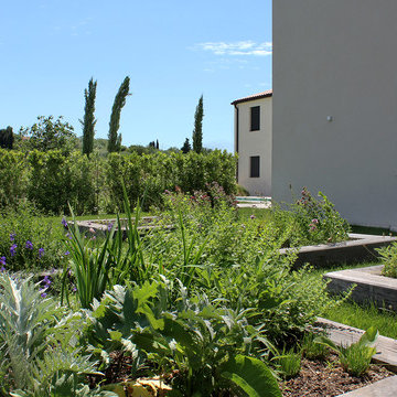 Mediterranean garden