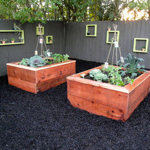 Raised Garden