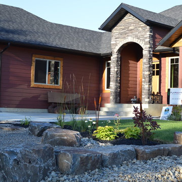 New yard Design