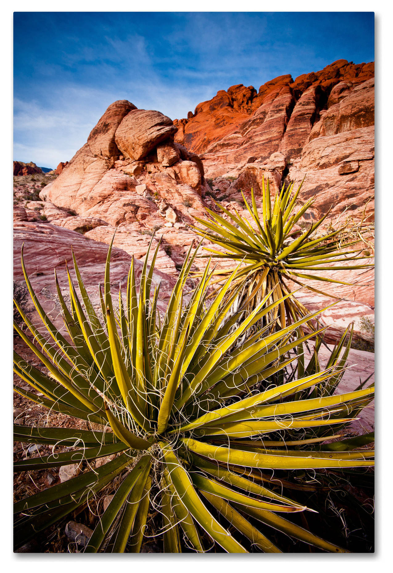 Dan Ballard 'Red Rocks' Canvas Art, 24