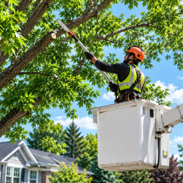 Branch Specialists