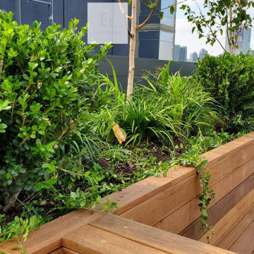 Ipe Roofdeck Condo Common Area Long Island City, NY