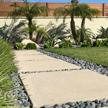 Minimalist Tailored Landscape with Drought Tolerant Plantings