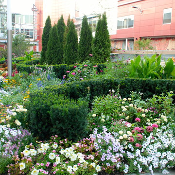 Annuals & Perennials
