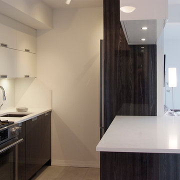 Hirsch Residence NYC