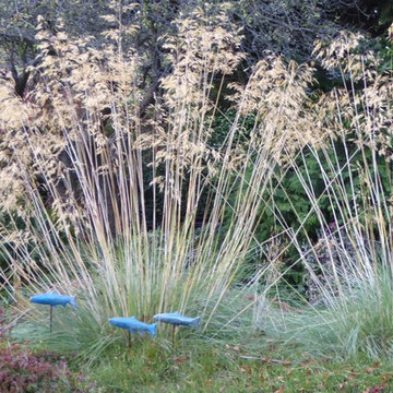 Mornington Garden