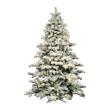 Wish List