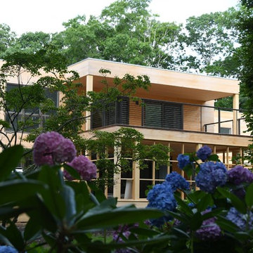 Skimhampton Residential Remodel
