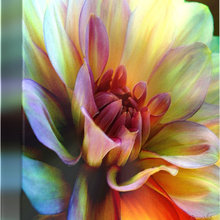 Botanical
