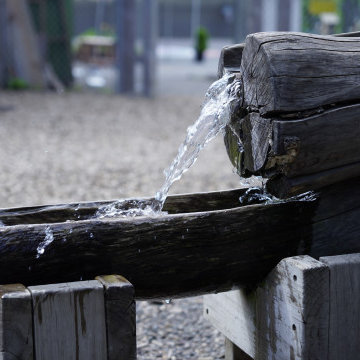 Natural Playscapes