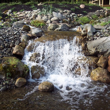 Ponds and water features
