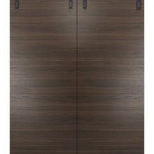 Master door
