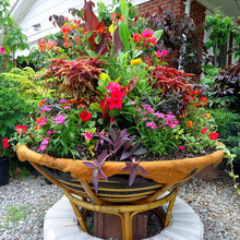garden pots
