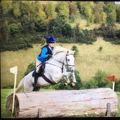 Foto von Karen Albutt