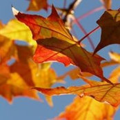 Sandy McMahon's photo