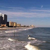 Brett Hamilton's photo