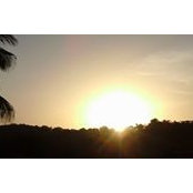 M D's photo