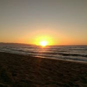 Cathy Shanley's photo