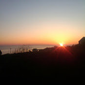William Koch's photo