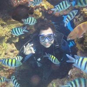Foto von Reda Majed