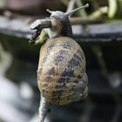 Shawne Soles's photo