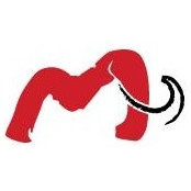 Mammoth Restoration's photo