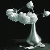 Jenna Gardner's photo