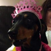 Pamela De Lauder's photo