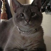 Carla Foley's photo