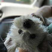Molly Yurchak's photo