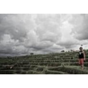 Dominic Russo's photo