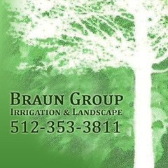Braun Group