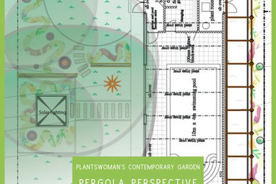 Plantswoman's Contemporary Garden