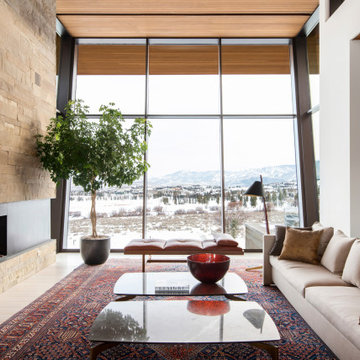 Contemporary Living Room