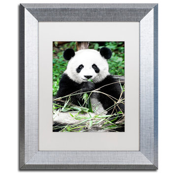 Philippe Hugonnard 'Giant Panda' Art, Silver Frame, White Matte, 14"x11"