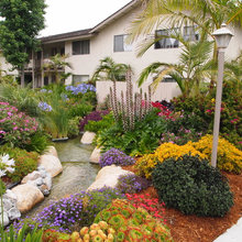 Exterior Ideas