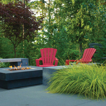 A suburban woodland oasis welcomes you home