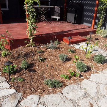 Los Angeles Back Yard