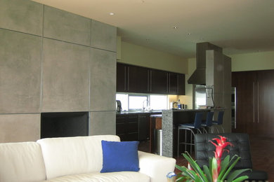 This is an example of a contemporary home design in San Diego.