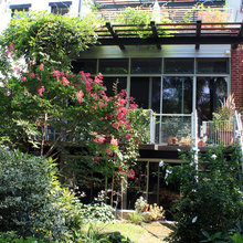 Renovated Brownstones