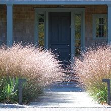 Front Landscape