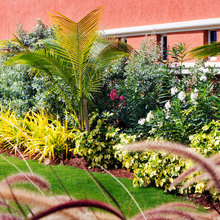 Landscape Ideas