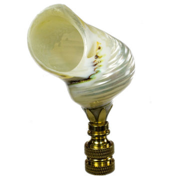Silver Mouth Shell Lamp Finial 3"h, Polished Brass Base