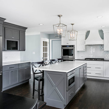 Transitional Whole House Remodel - Naperville