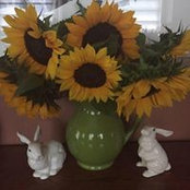 Diane Simcik's photo